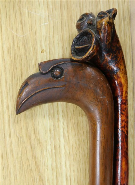 An unusual Toucan-head hardwood walking stick and a grotesque head walking stick